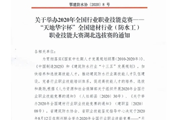 天地Ag亚洲集团杯